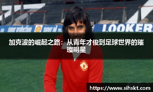 万博max官网